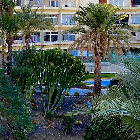 Cozy Near Yumbo Playa del Ingles (Gran Canaria)